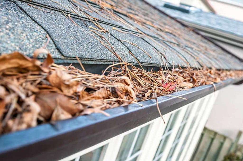 how do you tell if your gutters need cleaning2
