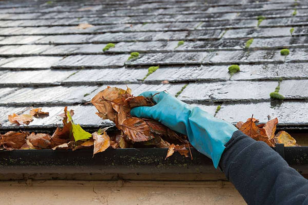 how do you tell if your gutters need cleaning3