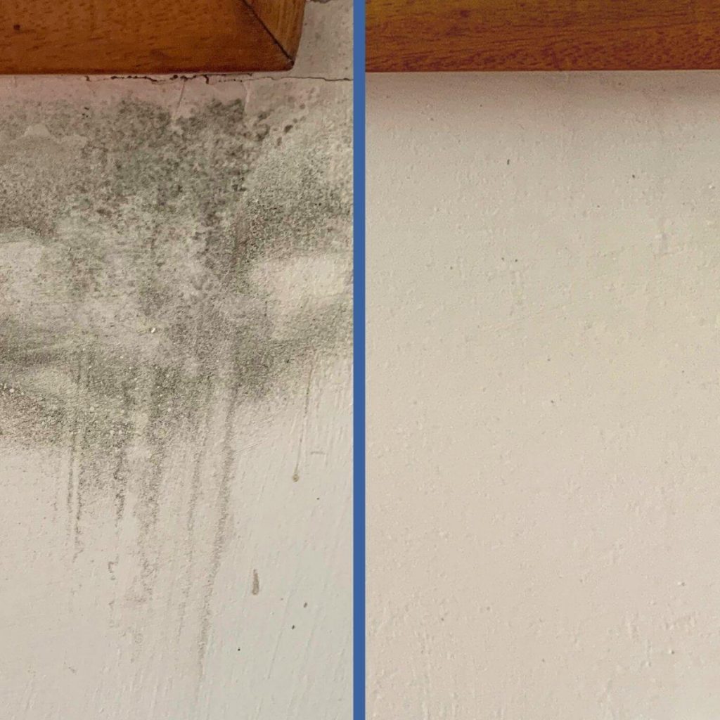 pressure washing residential mould algae removal before and after