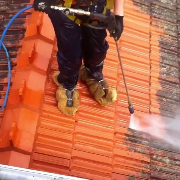 pressure washing residential roof cleaning 2